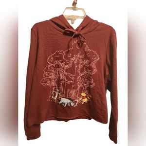 Winnie the Pooh Maroon Sweater